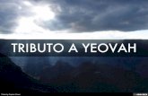 TRIBUTO A YEOVAH