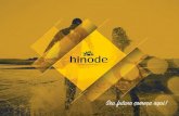 Apresentação de Negócio Hinode