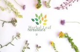 Herbal Leaf