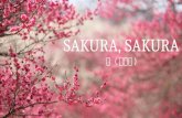 Sakura, Sakura "Cherry Blossoms" (Japanese Folk Song) For Grade 8, MAPEH (Music) Class