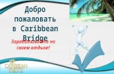 Новейшая презентация Caribbean Bridge