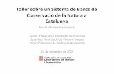 Taller sobre un Sistema de Bancs de Conservació de la Natura a Catalunya
