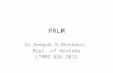 Palm .DK. 2015