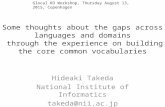 Some thoughts about the gaps across languages and domains through the experience on building the core common vocabularies