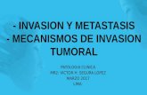 Metastasis invasion tumoral