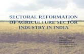 Sectoral Reformation of an Agricultural Sector in India