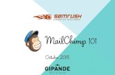 MailChimp 101