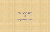 Lo studio Tucori (Paolo Longoni)