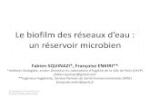 Le biofilm des réseaux d’eau : un réservoir microbien