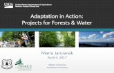 Adaptation in Action: Projects for Forests & Water