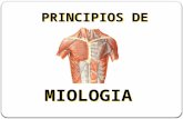 Generalidades miologia