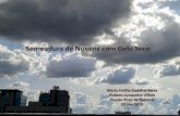 Semeadura de nuvens - Cloud Seeding -  Dra. Maria Emilia Gadelha Serra