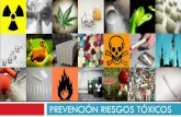 Prevención riesgos toxicos
