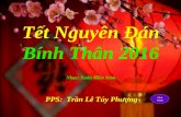 TET 2016 _ Tuy Phuong