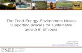 The Food-Energy-Environment Nexus:Supporting policies for sustainable growth in Ethiopia