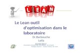 Lean  : outil d'optimisation dans le laboratoire