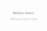 Nathan kress beef