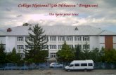 Ana Nitoiu - Collège National”Gib Mihaescu” Dragasani