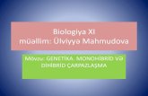 Biologiya 11 (genetika)