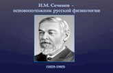 И.М. Сеченов - основоположник русской физиологии