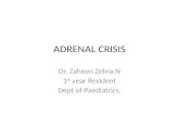 Adrenal crisis