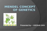 Mendel concept of genetics