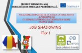 Job shadowing staff flux i