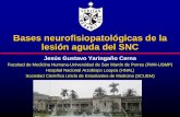 Bases neurofisiopatológicas de la lesión aguda del SNC