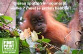 Footprint Travel - Dieren spotten in Indonesië