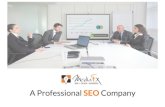 Professional SEO Company - Media Fx