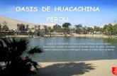 Oasis de huacachina au Pérou