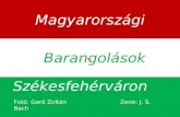 Barangolások magyarországon. székesfehérváron