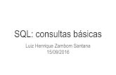 Consultas básicas em SQL