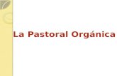 La Pastoral Orgánica