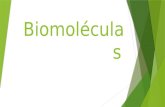 Biomoléculas upla