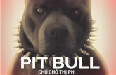 Pit bull - Chú chó thị phi