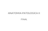 Anatomia patologica ii higado pancreas mama