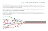 Brochure Prins Projectmanagement & Advies 2015