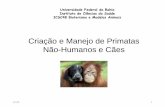 ICSC48 - Criação e manejo de primatas não humanos e cães