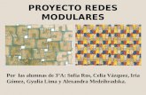 Proyecto redes modulares new
