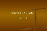 Szck Anlam Test