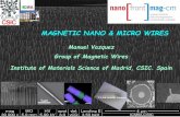 2016.06.21 gmm csic NanoFrontMag