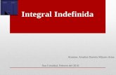 Integral Indefinida Ariadna Mijares