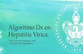 Algoritmo Diagnóstico en hepatitis Virica (serología)