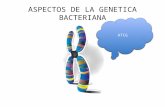 Aspectos De La Genetica Bacteriana