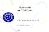 Hydrocele hidrokel  anak optek aai