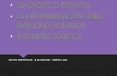 Diagnóstico prenatal, experimentación con embriones, ingeniería genetica