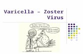 Varicella – zoster virus