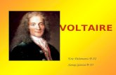 Voltaire eric saray