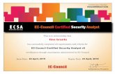 ECC-Certificate ECSA